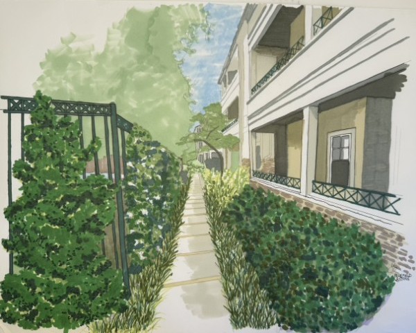 Marker-colored rendering of the finished walk — layered evergreens, ferns, and a green-framed path