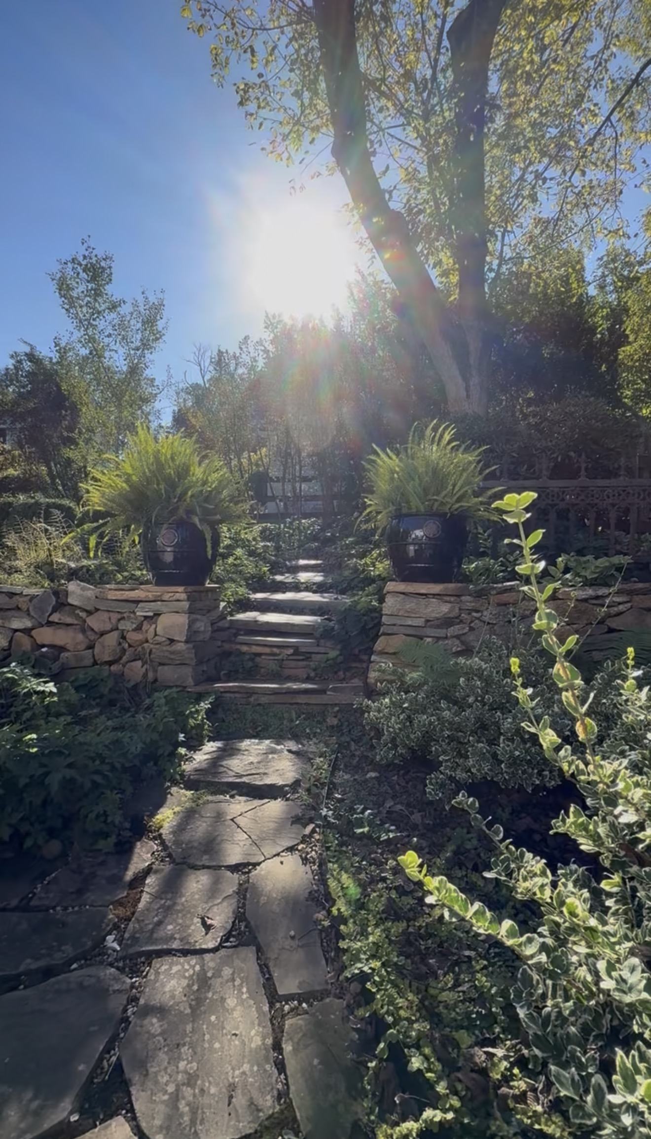 Morning sun pouring down stone garden steps between planted urns