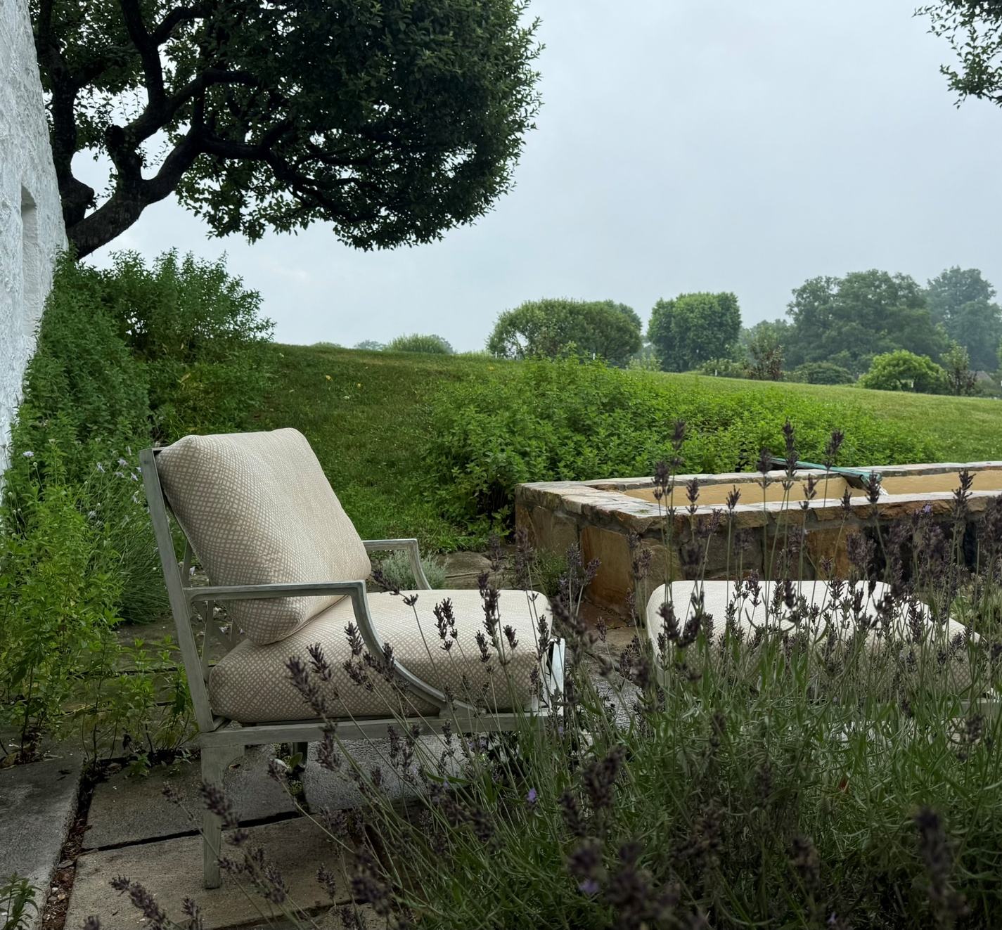 A garden chair beside lavender, the field fading into mist