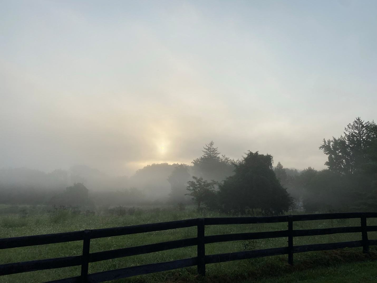 Fog lifting off the far trees beyond a black pasture fence